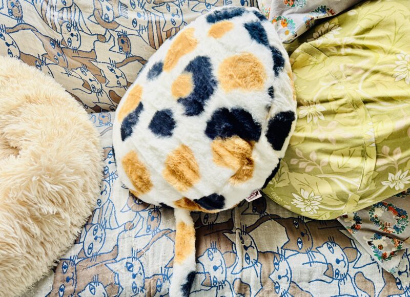 ◆住宅営業マンの仕事・・・◆