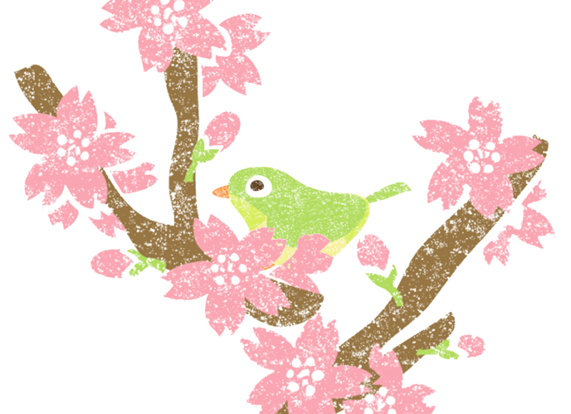 新人営業マンが感じた“家づくりの現実